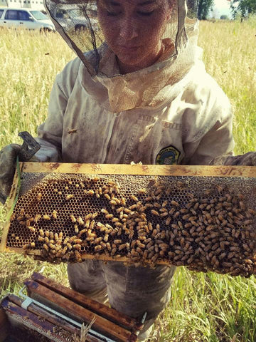 Beekeeping Classes